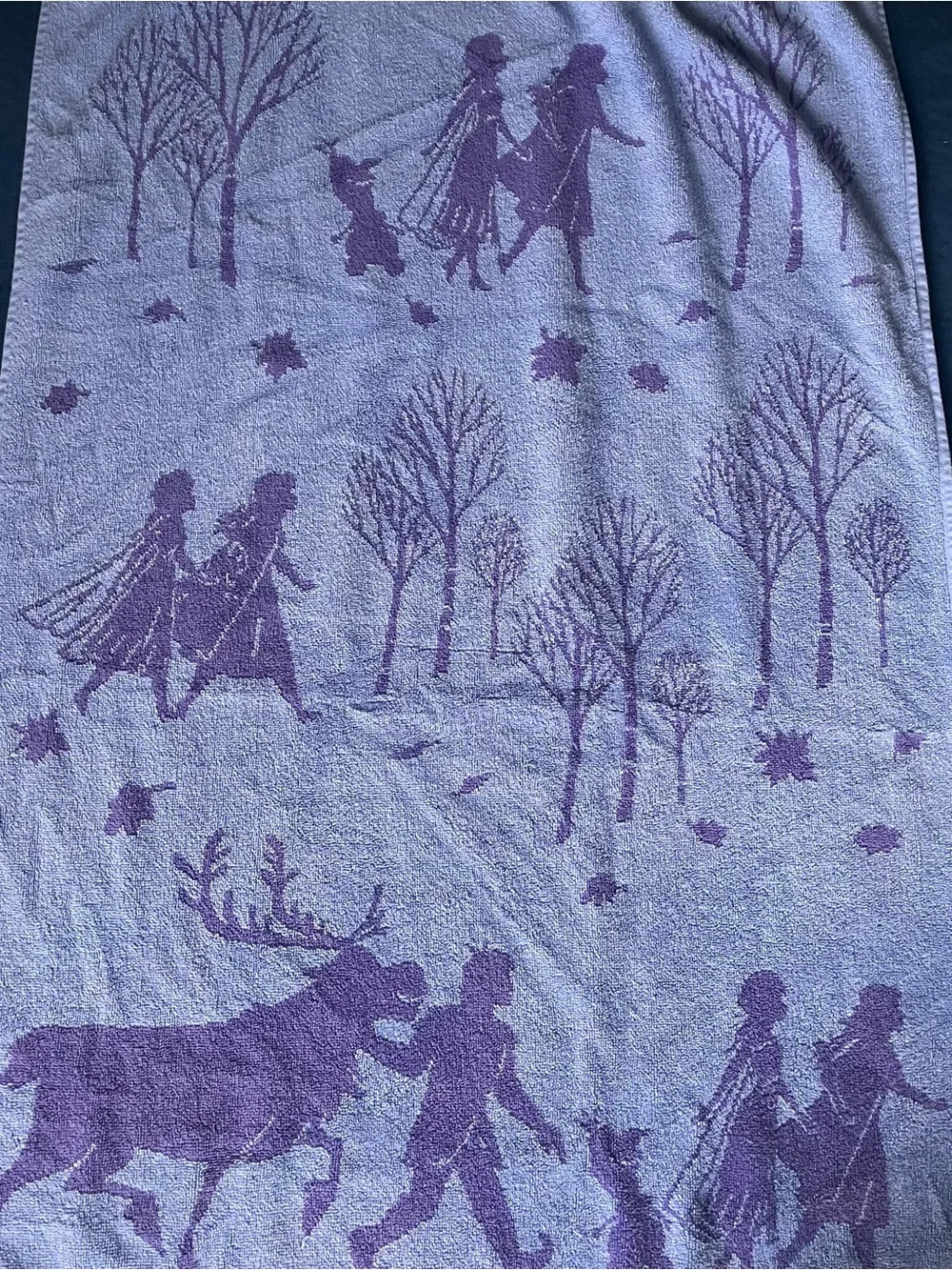 Frozen Towel